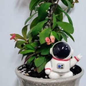 Astronaut Plant Watering Spike Premium Ceramic Plant Waterer for Houseplants and Gardens Red