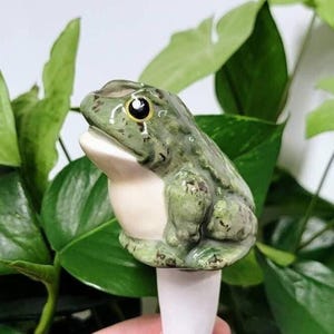 Self Watering Plant Stake Ceramic  Frog Watering Spike for Plant Lovers - Self Care Gardening Gift - Olla Pot Water Bulb for Plants