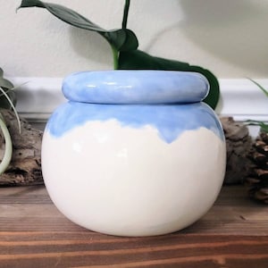 Large Ceramic Self-Watering African Violet Pot: Round Bubble Design