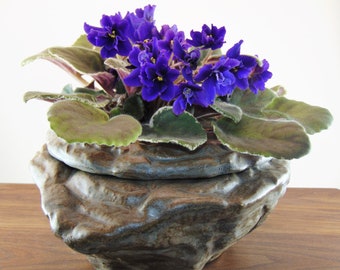 Large African Violet Plantyer