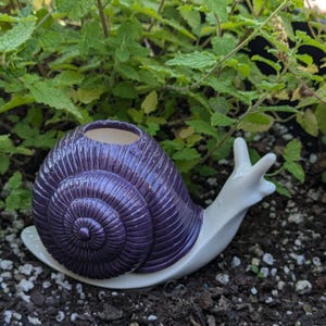 Plant Watering Spike -  Ceramic Snail Self Watering Bulb for Plants - Self Care Gift for Gardeners and Plant Lovers - Houseplant Waterer