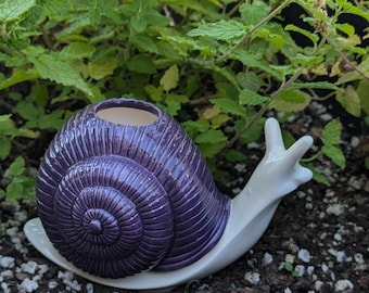Snail - Self Watering Ceramic Plant Spike Olla for Houseplants and Gardens