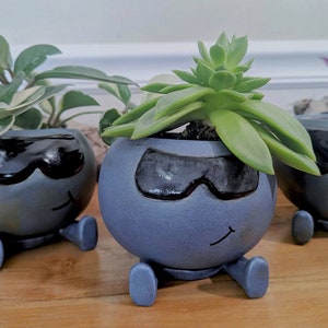 May include: Three blue ceramic planters with cartoon faces and sunglasses, each holding a different type of plant. The planters have small legs and are sitting on a wooden surface.