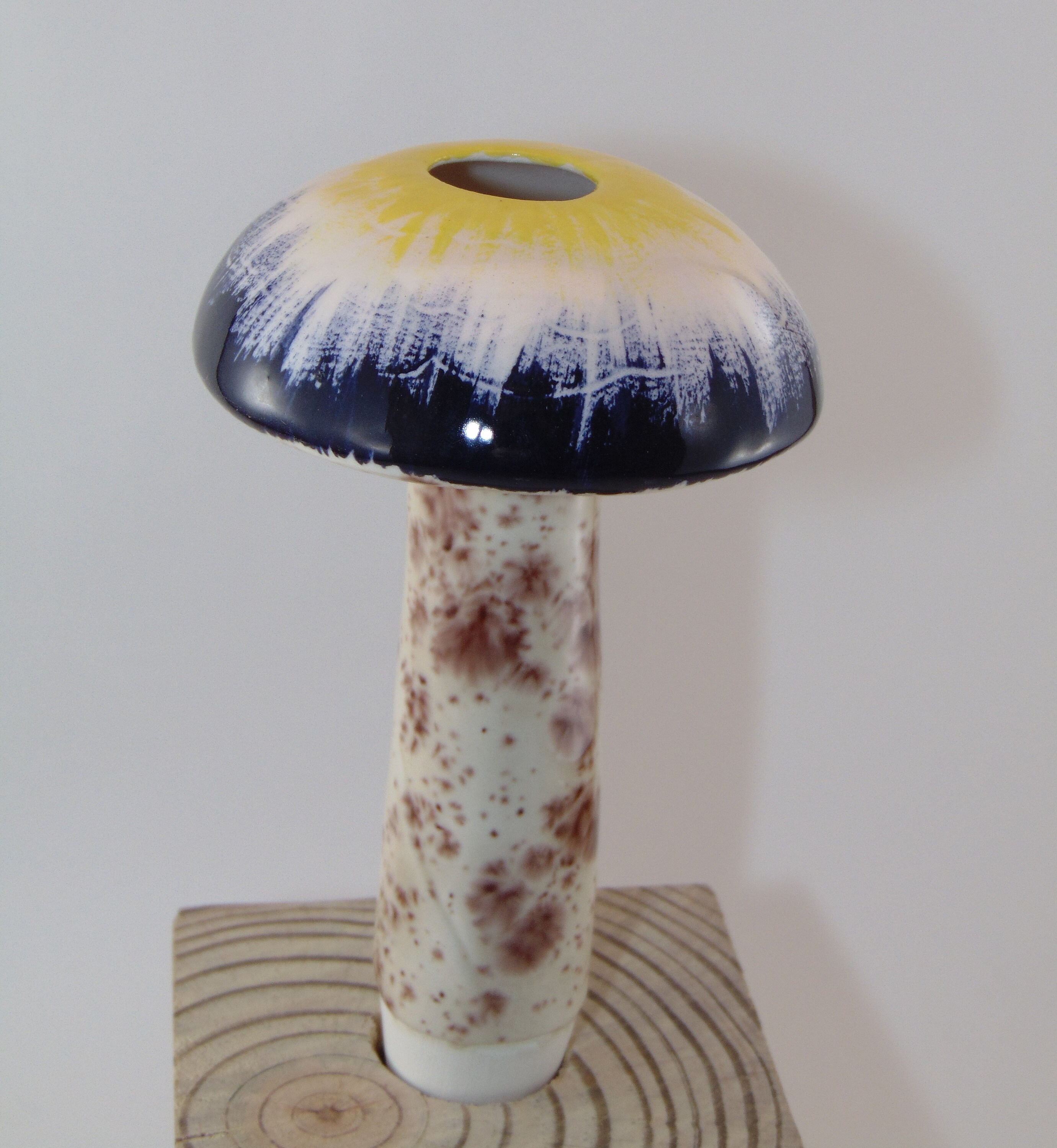 Licitación de planta de cerámica de setas grandes / Espiga de | Etsy