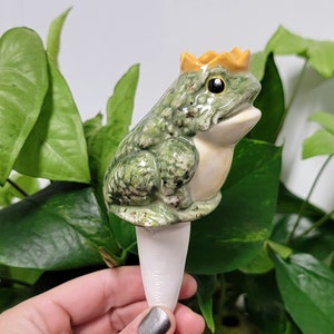 Royal Prince Charming Frog Plant Watering Spike - Plant Care Made Easy - Premium Ceramic Houseplant Olla - Handmade in Colorado