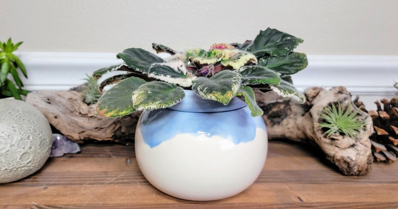 Small Ceramic Bubble Self Watering / African Violet Pot Light Blue