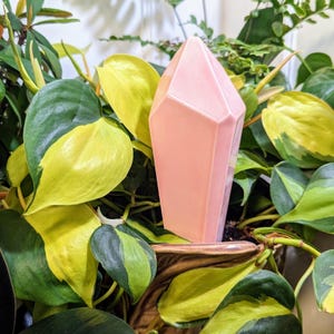 Handmade ceramic watering spike shaped like a crystal, featuring a translucent pink design with faceted edges, nestled among heart-shaped, green and yellow variegated leaves in a brown pot, offering both aesthetic appeal and eco-friendly functionality.