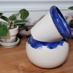 Small Ceramic Bubble Self Watering / African Violet Pot Dark Blue
