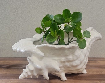 Conch Seashell Ceramic Planter