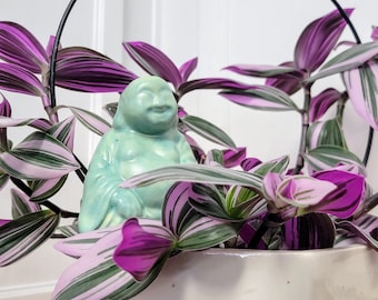 Garden Buddha Ceramic Plant Watering Spike - Handmade Plantcare Decor