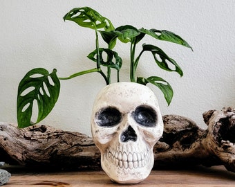 Cool Skull Planter/Pot