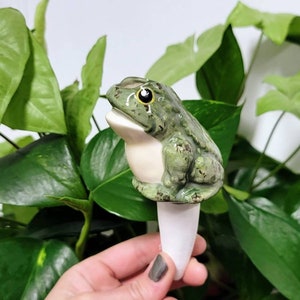 Ceramic Plant Watering Spike - Frog - Plant Care Made Easy -  Premium Ollas for Houseplants Handcrafted in Colorado