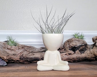 Yoga Airhead Plant Holder