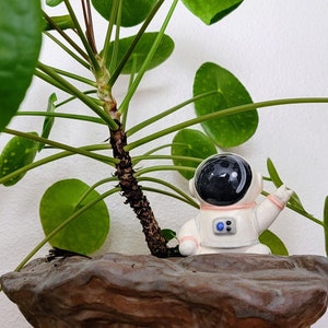 Astronaut Plant Watering Spike Premium Ceramic Plant Waterer for Houseplants and Gardens Pink