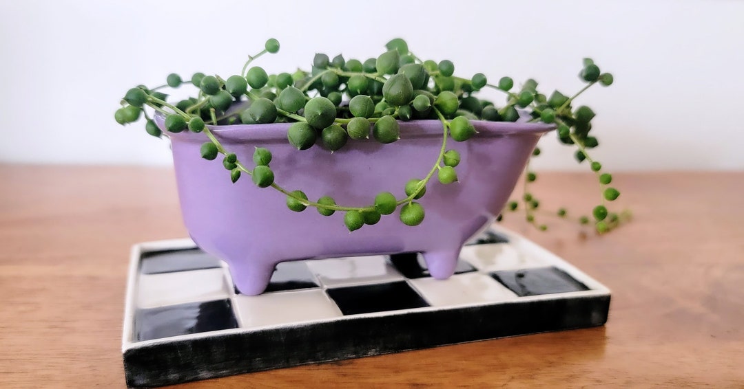 Small Bathtub Planter With Tile Floor Water Catch - Etsy