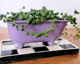 Small Bathtub Planter With Tile Floor Water Catch