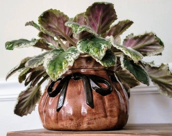Money Bag / Coin Purse Self Watering Planter - Medium Ceramic African Violet Pot