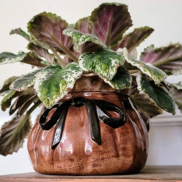 Jardinière avec arrosage automatique, sac d'argent / porte-monnaie - Pot moyen de violette africaine en céramique