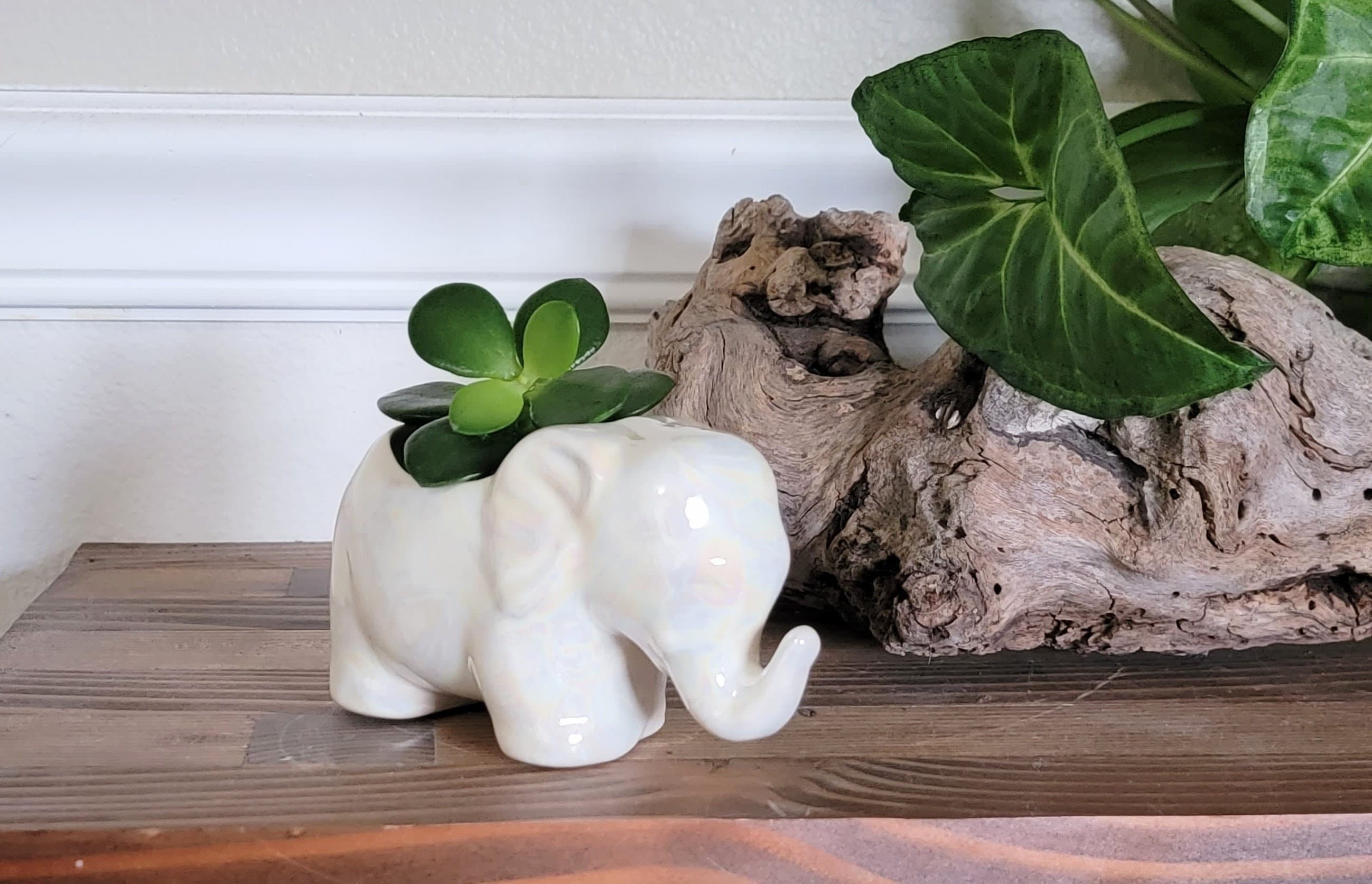 Elephant Planter Pot Lucky Elephant Planter Pot Succulent Planter
