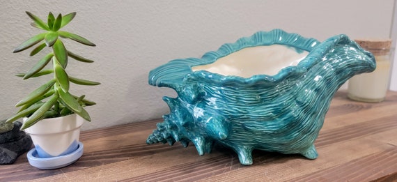 Conch Seashell Ceramic Planter -  Canada