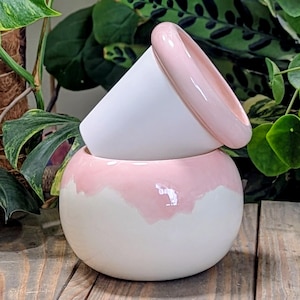 Large Ceramic Self-Watering African Violet Pot: Round Bubble Design
