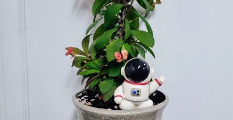Astronaut Plant Watering Spike Premium Ceramic Plant Waterer for Houseplants and Gardens Red