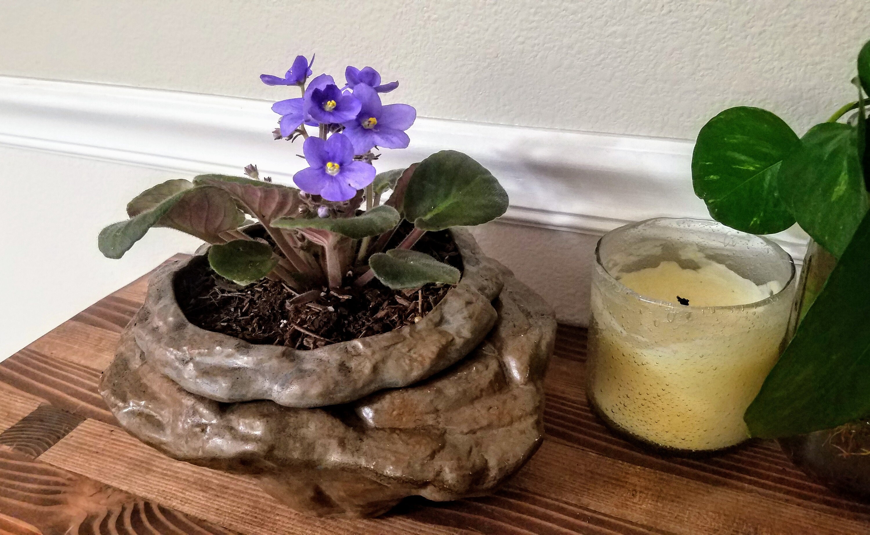 Natural Stone / Rock Ceramic Self Watering Large African Violet Pot