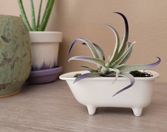 Small Ceramic Bathtub Succulent/Cactus/Air Plant Planter Pot