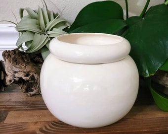 Large Ceramic Bubble Self Watering / African Violet Pot
