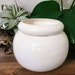 see more listings in the Planter and Pots section