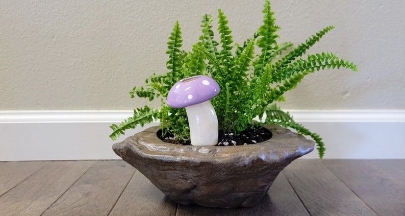 Medium Mushroom plant care watering globe handmade ceramics indoor outdoor garden decorations Purple with Spots