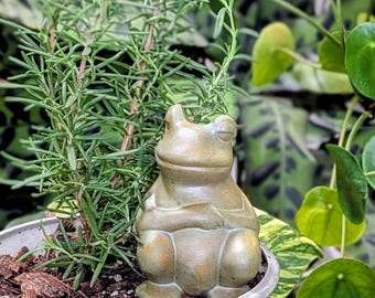 Ceramic Plant Watering Spike - Chill Zen Frog - Self-Watering Irrigation Stake