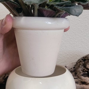 Small Ceramic Bubble Self Watering / African Violet Pot White