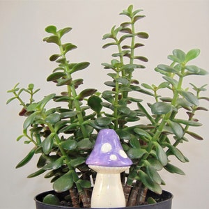 Small Toadstool Plant Watering Spike handmade ceramic indoor/outdoor functional garden decoration Purple