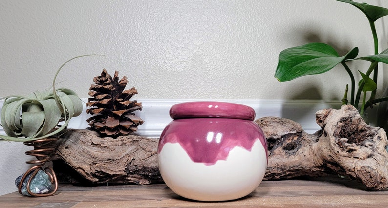 Small Ceramic Bubble Self Watering / African Violet Pot Plum