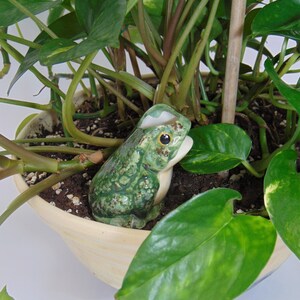 Ceramic Plant Watering Spike Frog Plant Care Made Easy Premium Ollas for Houseplants Handcrafted in Colorado image 3