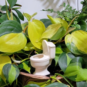 Toilet Plant Watering Spike sustainable handmade ceramic indoor/outdoor functional garden decoration Opal