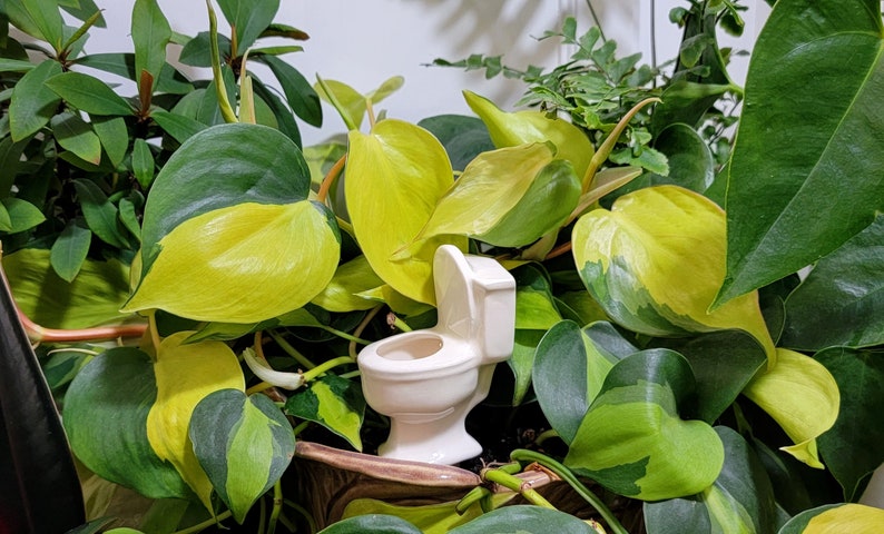 Toilet Plant Watering Spike sustainable handmade ceramic indoor/outdoor functional garden decoration Opal