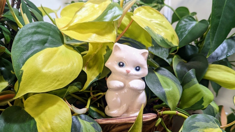 Sweet Kitten plant care watering globe handmade ceramics functional plant decor White