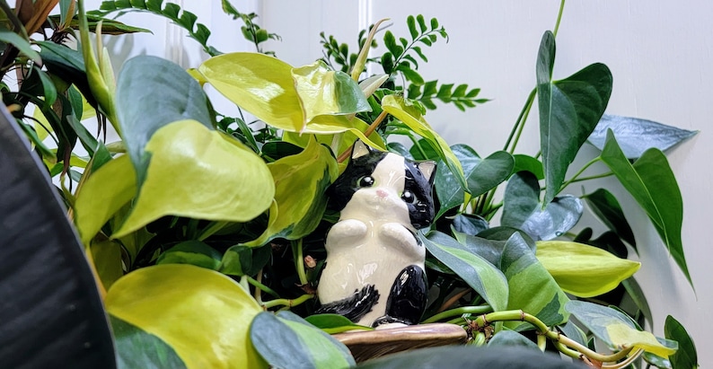 Sweet Kitten plant care watering globe handmade ceramics functional plant decor Black n White