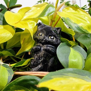 Sweet Kitten plant care watering globe handmade ceramics functional plant decor Black