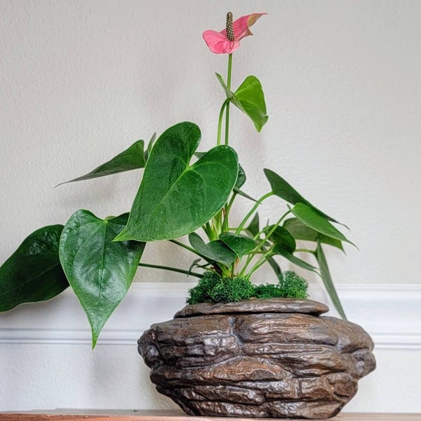 Natural Stone / Rock Ceramic Self Watering Medium African Violet Pot