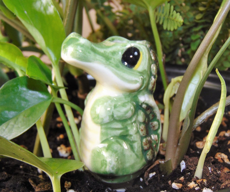 Alligator Plant Watering Stake Handmade Indoor Garden Etsy