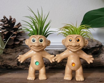 Treasure Troll Air Plant Holder / Bud Vase / Mini Pot