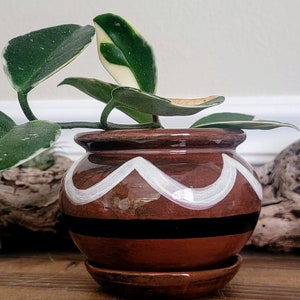 May include: A small, brown ceramic pot with a white zigzag pattern and a black stripe, holding a plant with green and white variegated leaves. The pot sits on a matching saucer. Other decorative items are in the background.