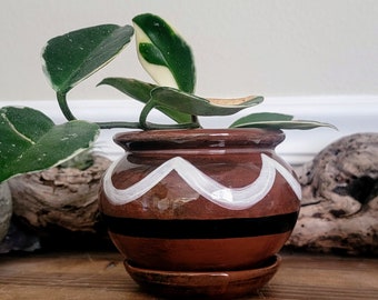 Medium Ceramic Zelda Seed Pot  Succulent/Cactus Planter