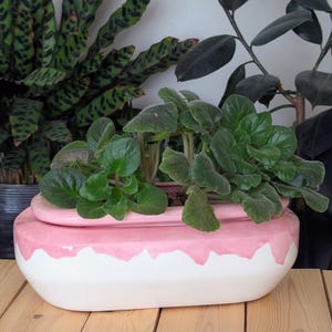Extra Large Ceramic Self-Watering African Violet Pot