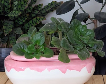 Extra Large Ceramic Self-Watering African Violet Pot