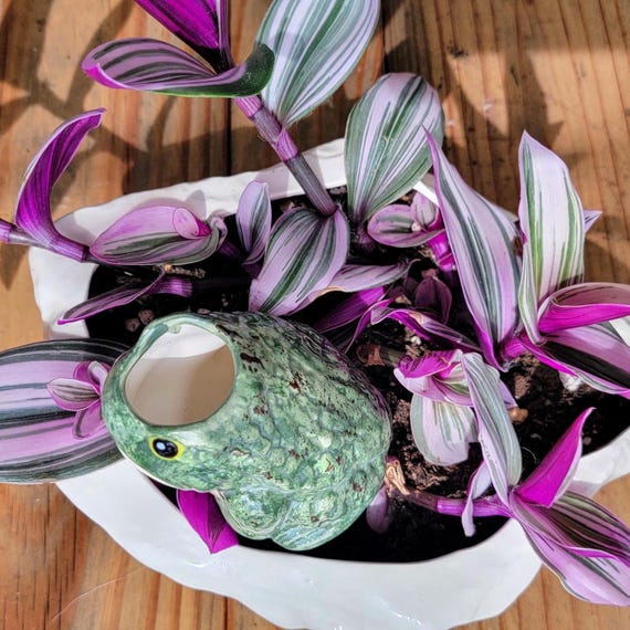 ガーデニング雑貨 Amazon.co.jp: ガーデニング雑貨 アンティーク ガーデニンググッズ