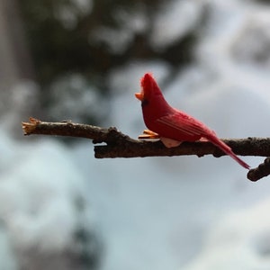 Poppenhuisminiatuur Kardinaal, schaal 1:12, Tiny Bird, Fairy Garden